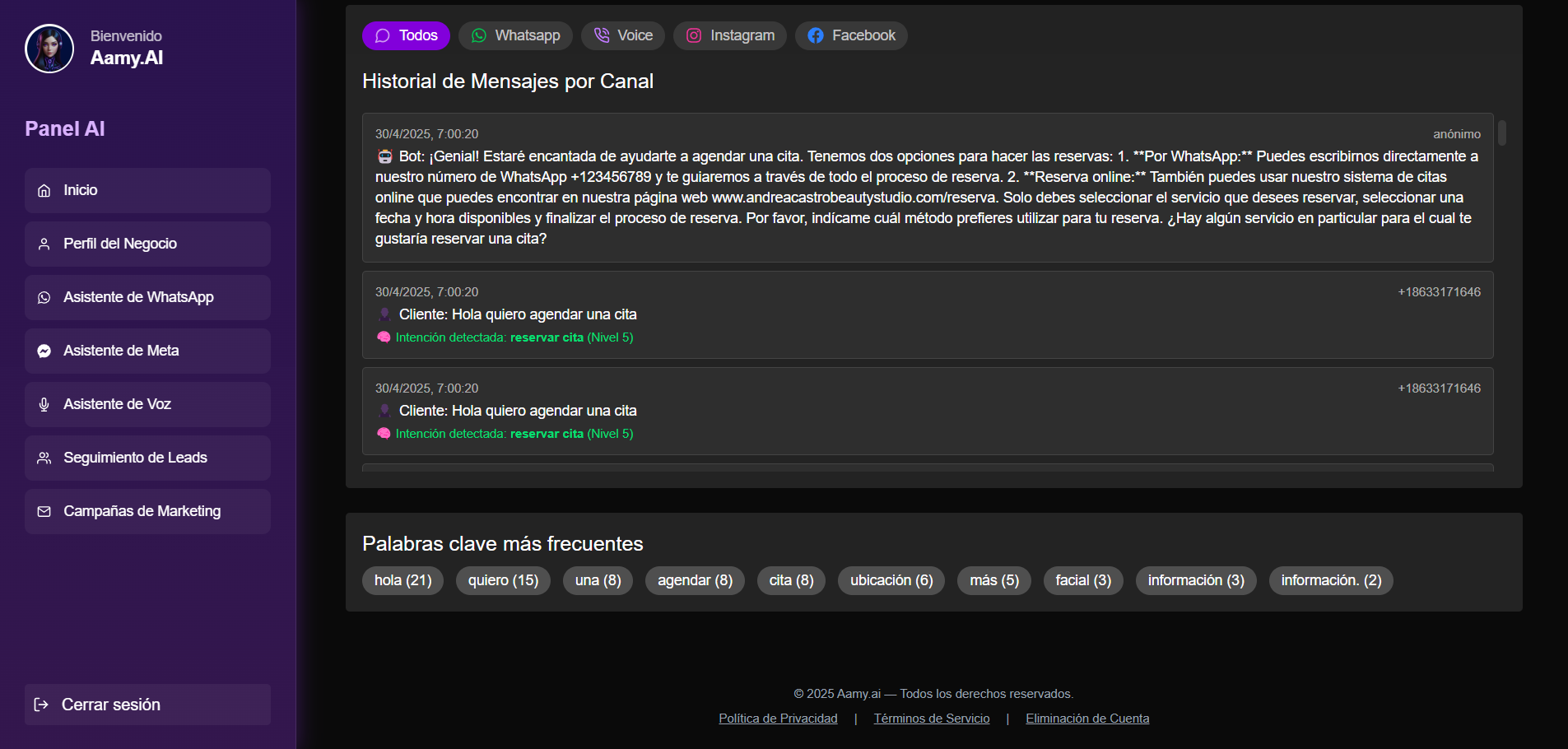 Vista previa del dashboard de Amy